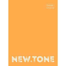 Папка картонная "Hatber Premium", А4, на 4-х кольцах, ламинация, серия "NewTone Neon - Orange"
