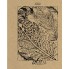 Тетрадь "Hatber", 96л, А5, клетка, обложка крафт, на скобе, серия "Art of Nature"