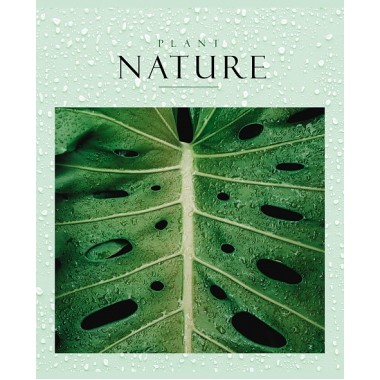 Тетрадь "Hatber NN", 48л, А5, клетка, второй блок, обложка мелованная бумага, на скобе, серия "Nature"