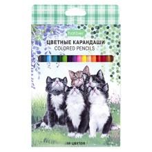 Карандаши "Hatber Eco", 18 цветов, серия "Котики бывают разными", в картонной упаковке