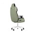 Игровое компьютерное кресло, Thermaltake, ARGENT E700 Matcha Green, GGC-ARG-BMLFDL-01, Максимальная нагрузка 150 кг, Натуральная кожа, Основание алюминий и металл, Матча Зеленый