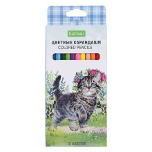 Карандаши "Hatber Eco", 12 цветов, серия "Котики бывают разными", в картонной упаковке