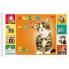 Альбом для рисования "Hatber", 24л, А4, перфорация на отрыв, на спирали, серия "Милые котята"