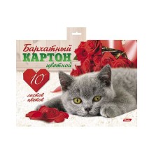 Набор цветного бархатного картона "Hatber", 10л, 10цв, А5, в папке, серия "Котёнок"