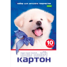 Набор белого картона "Hatber Eco", 10л, А4, 200x280мм, в папке, серия "Белый щенок"