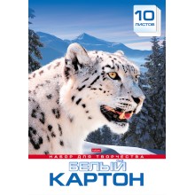 Набор белого картона "Hatber", 10л, А3, 297x420мм, в папке, серия "Снежный барс"