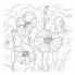 Раскраска для акварели "Hatber", 18л, 210х210мм, отрывная склейка, жёсткая подложка, серия "Сюжеты для акварели - Чудесные цветы"