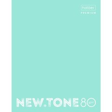 Тетрадь "Hatber Premium", 80л, А5, клетка, на 4-х кольцах, ламинация, серия "NewTone Pastel - Мята"