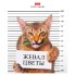 Тетрадь "Hatber", 48л, А5, клетка, на скобе, серия "Кот-обормот"